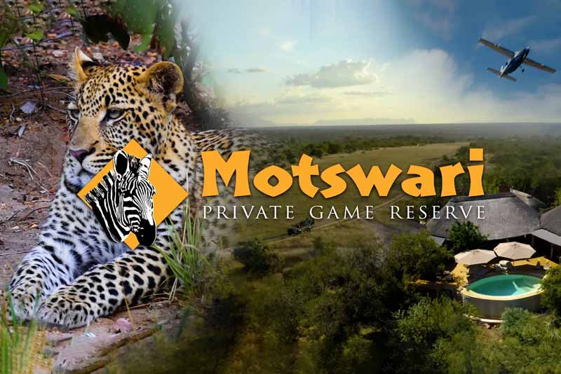 Video of Motswari Private Game Reserve